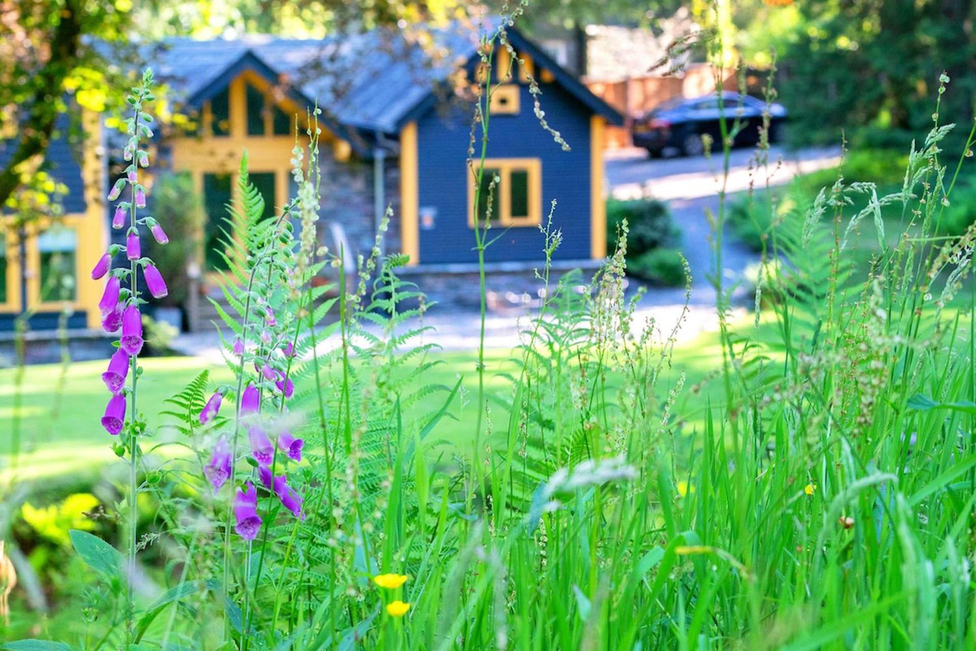Carr Crag Pavilion Little Langdale Esterno foto